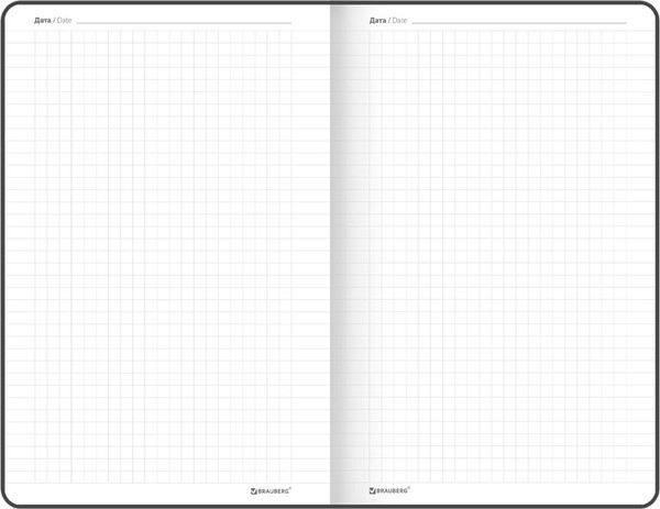 Изображение товара Ежедневник Brauberg Basic / 116227 (80л, черный)