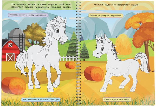 Изображение товара Раскраска Умка Домашние животные. Многоразовая раскраска с заданиями