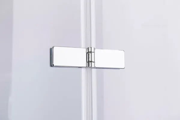 Изображение товара Душевая дверь PELICAN SSW01795