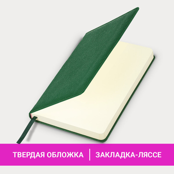 Изображение товара Ежедневник Brauberg Base / 116257 (160л, темно-зеленый)