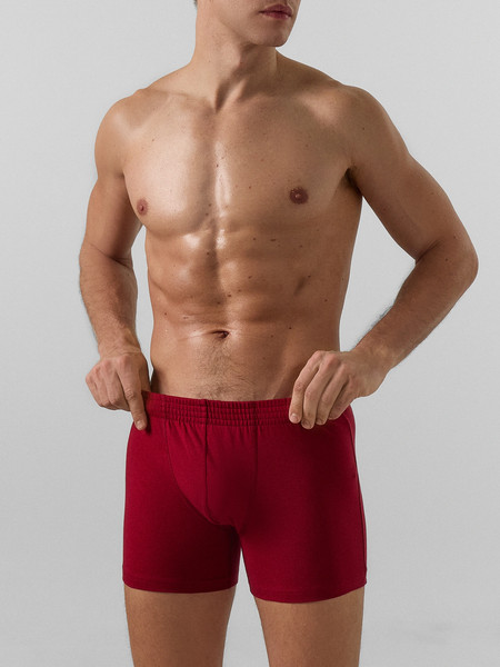 Изображение товара Трусы мужские Mark Formelle 411143 (р.86-96, вино)