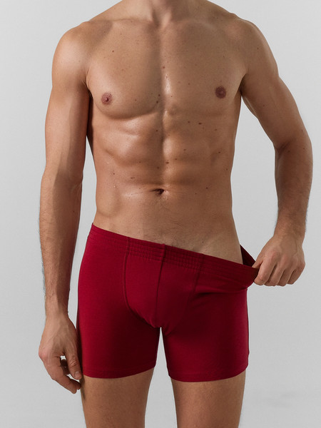 Изображение товара Трусы мужские Mark Formelle 411143 (р.86-96, вино)