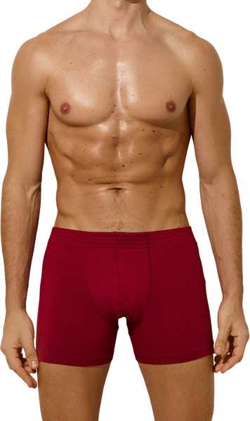 Изображение товара Трусы мужские Mark Formelle 411143 (р.86-96, вино)