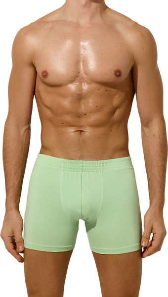 Изображение товара Трусы мужские Mark Formelle 411143 (р.86-96, зеленая дымка)