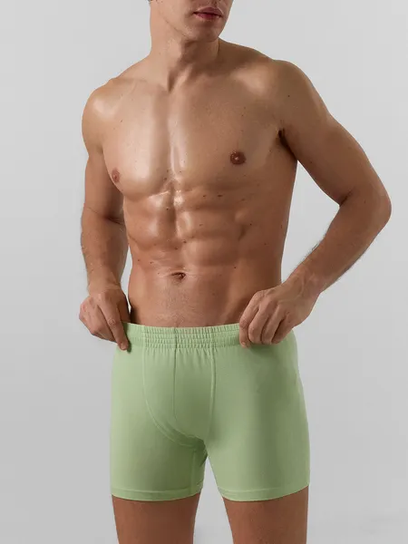 Изображение товара Трусы мужские Mark Formelle 411143 (р.90-100, зеленая дымка)