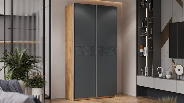 Изображение товара Шкаф-купе ТриЯ Оскар Скания Т2 1200 / 268356 (ручка серебро/дуб крафт золотой/серый графит/графит матовый)