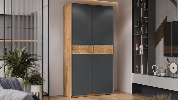 Изображение товара Шкаф-купе ТриЯ Оскар Скания Т2 1200 / 268357 (ручка серебро/дуб крафт золотой/серый графит/дуб тортугга)