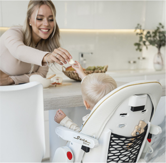 Изображение товара Стульчик для кормления Peg-Perego Siesta (Acquarelle)