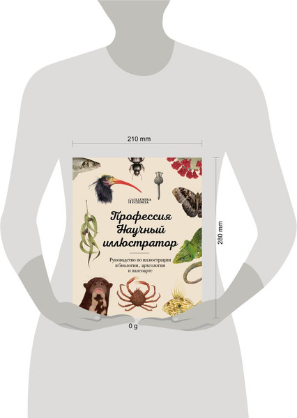 Изображение товара Книга Бомбора Профессия — Научный иллюстратор, твердая обложка