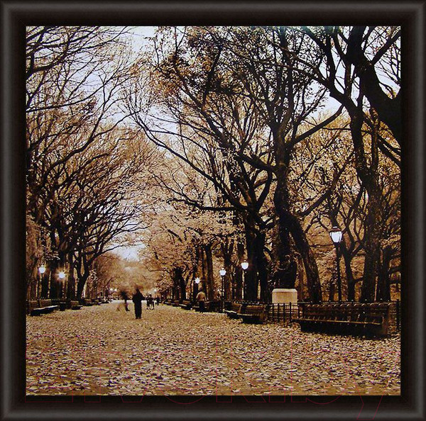 Изображение товара Картина Декарт Осенний парк 8Л0321 (в раме)