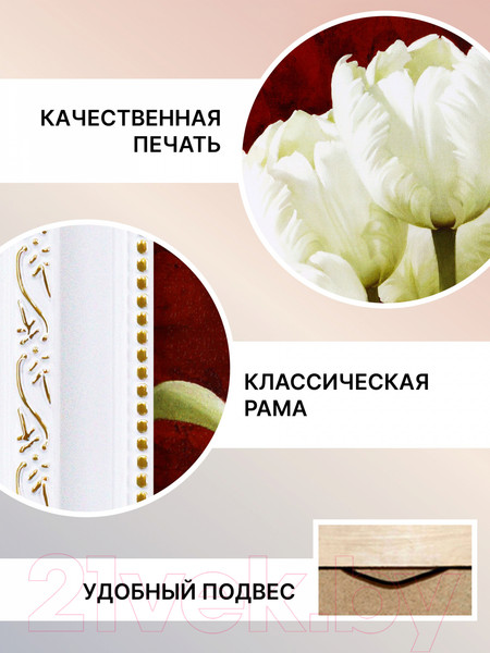 Изображение товара Картина Декарт Белые тюльпаны-2 8Л0098 (в раме)