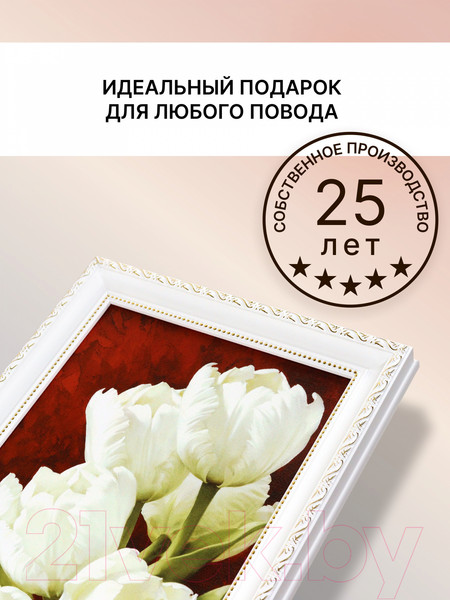 Изображение товара Картина Декарт Белые тюльпаны-2 8Л0098 (в раме)