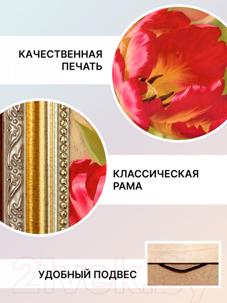 Изображение товара Картина Декарт Букет цветов 8Л0930 (в раме)