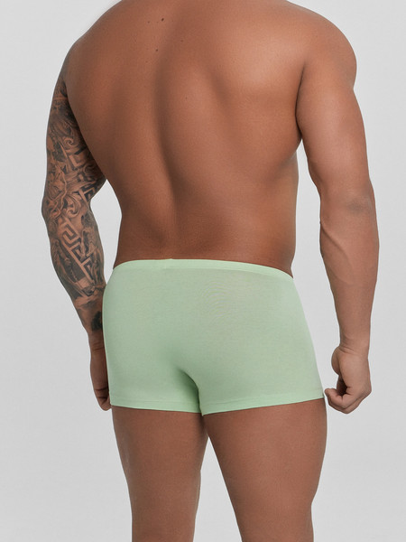 Изображение товара Комплект мужских трусов Mark Formelle 411216-2 (р.94-104, зеленая дымка/зеленый бархат)