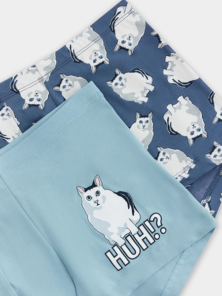 Изображение товара Комплект мужских трусов Mark Formelle 411216-2 (р.102-112, полынь/коты на шторме)