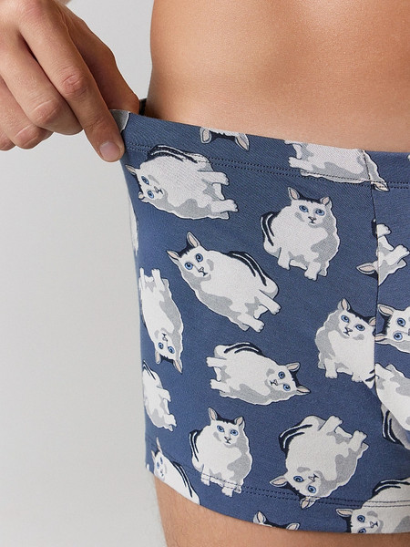 Изображение товара Комплект мужских трусов Mark Formelle 411216-2 (р.102-112, полынь/коты на шторме)