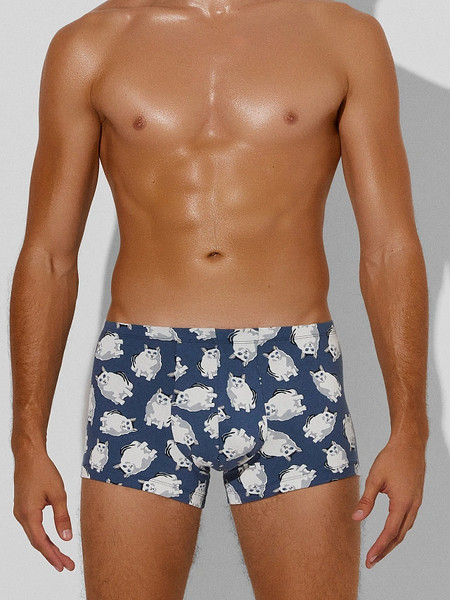 Изображение товара Комплект мужских трусов Mark Formelle 411216-2 (р.102-112, полынь/коты на шторме)