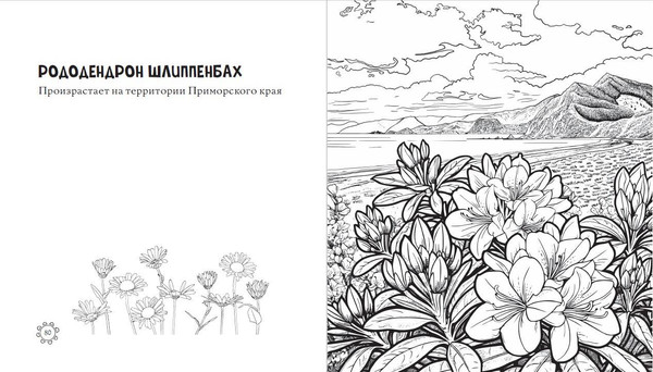 Изображение товара Раскраска-антистресс Эксмо Чарующие краски России. Страницы нежности и красоты