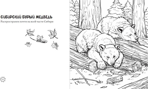 Изображение товара Раскраска-антистресс Эксмо Чарующие краски России. Страницы нежности и красоты