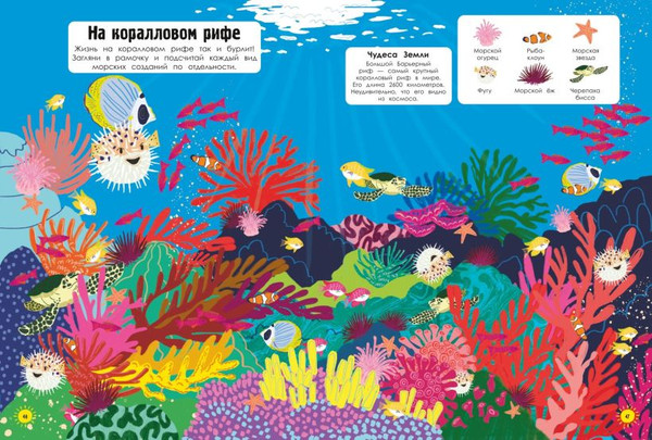 Изображение товара Развивающая книга Эксмо Наша планета в играх и головоломках, мягкая обложка