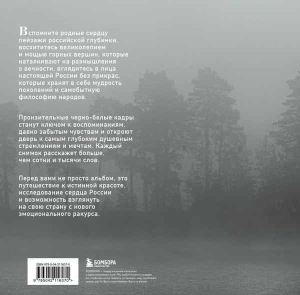 Изображение товара Книга Бомбора Монохром, твердая обложка (Дементиевский Иван)