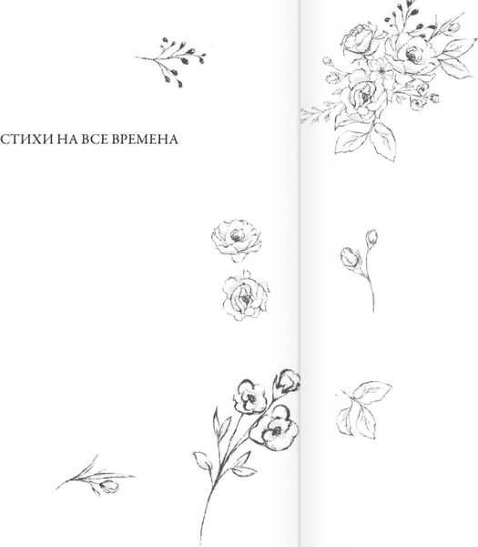 Изображение товара Книга АСТ Красивые стихи для женщин, твердая обложка (Пушкин Александр,  Цветаева Марина, Ахматова Анна)