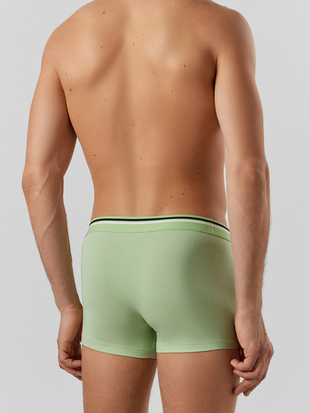 Изображение товара Комплект мужских трусов Mark Formelle 411188-2 (р.86-96, зеленая дымка/орнамент на сизом)