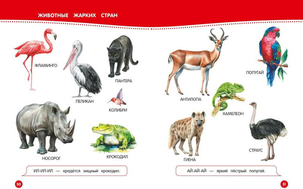 Изображение товара Развивающая книга Эксмо Для запуска и развития речи малыша, твердая обложка