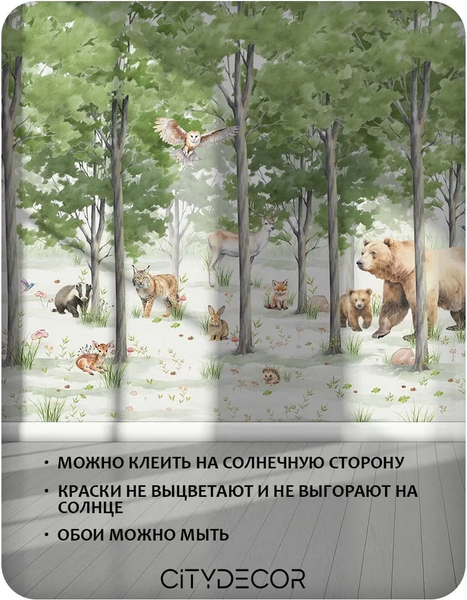 Изображение товара Фотообои листовые Citydecor Детская 471 (100x260см)