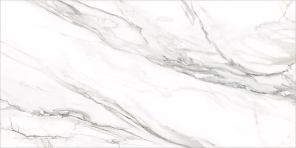 Изображение товара Плитка Delacora Omega Silver D12053M (1200x600)