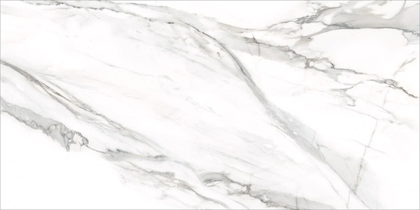 Изображение товара Плитка Delacora Omega Silver D12053M (1200x600)