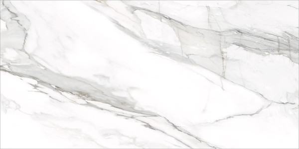 Изображение товара Плитка Delacora Omega Silver D12053M (1200x600)