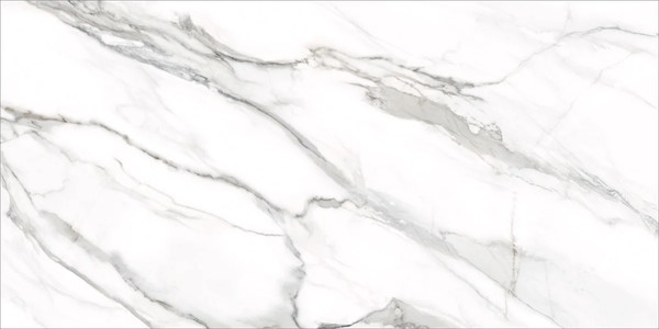 Изображение товара Плитка Delacora Omega Silver D12053M (1200x600)