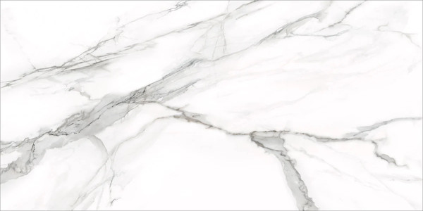 Изображение товара Плитка Delacora Omega Silver D12053M (1200x600)