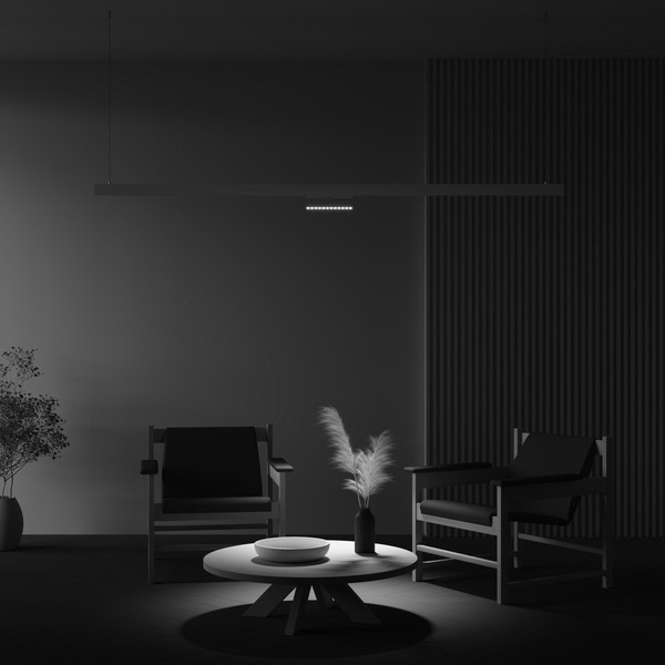 Изображение товара Трековый светильник Maytoni TR033-4-12WTW-DD2-W