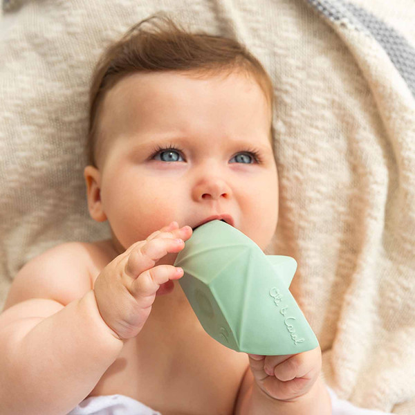 Изображение товара Прорезыватель для зубов Oli & Carol Boat (Mint)