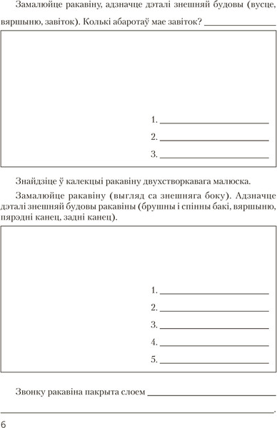 Изображение товара Рабочая тетрадь Аверсэв Бiялогiя. 8 клас. Для лабараторных і практычных работ 2025 (Лiсаў М., мягкая обложка)
