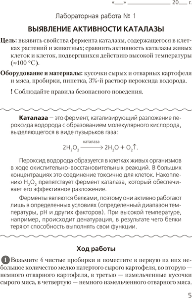 Изображение товара Рабочая тетрадь Аверсэв Биология. 11 класс. Для лабораторных и практических работ 2025