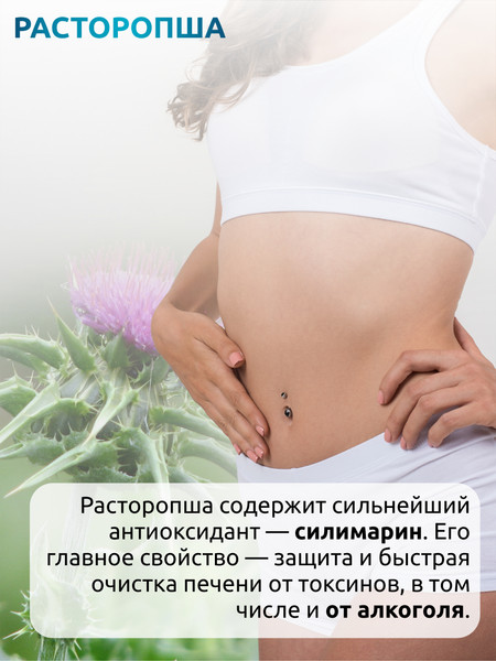 Изображение товара Пищевая добавка SOLAB Organic detox (60 капсул)
