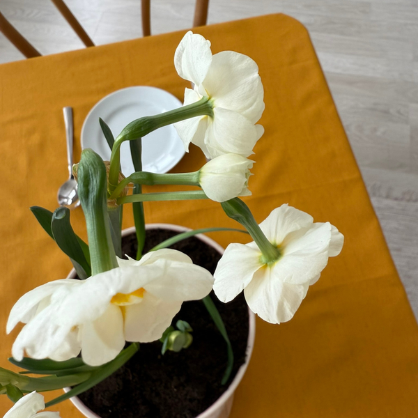 Изображение товара Скатерть ОМурМебель 150x120см прямоугольная (горчичный)