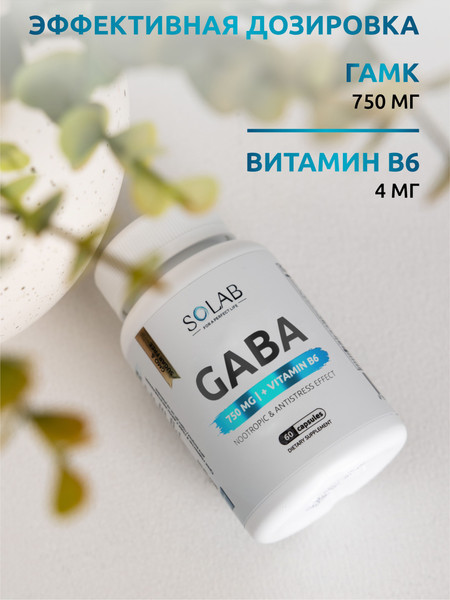 Изображение товара Комплексная пищевая добавка SOLAB GABA+В6 (60 капсул)
