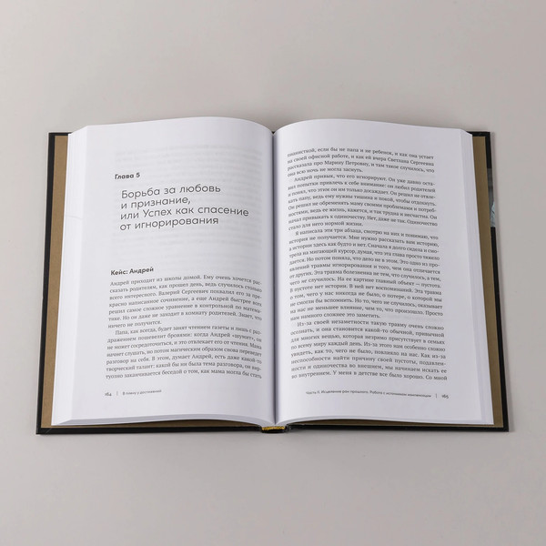 Изображение товара Книга Альпина В плену у достижений. От выгорания к целостности (Степанчук Алина, твердая обложка)