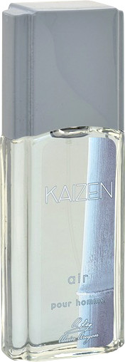 Изображение товара Туалетная вода Positive Parfum Kaizen Air (95мл)