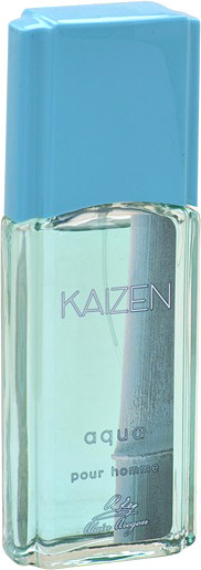 Изображение товара Туалетная вода Positive Parfum Kaizen Aqua (95мл)