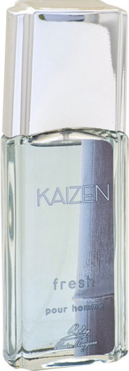 Изображение товара Туалетная вода Positive Parfum Kaizen Fresh (95мл)