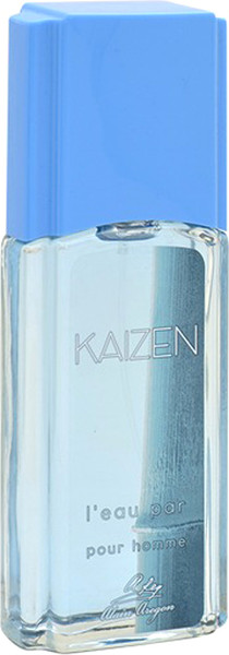 Изображение товара Туалетная вода Positive Parfum Kaizen L'eau Par Pour Homme (95мл)