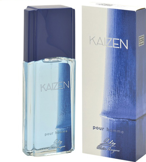 Изображение товара Туалетная вода Positive Parfum Kaizen Pour Homme (95мл)