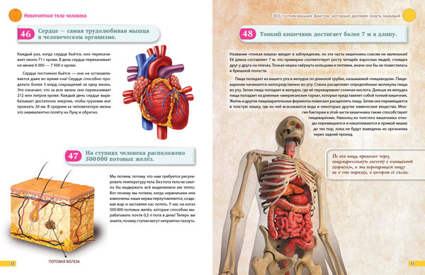 Изображение товара Энциклопедия Эксмо Знаю все! 365 потрясающих фактов, которые должен знать каждый