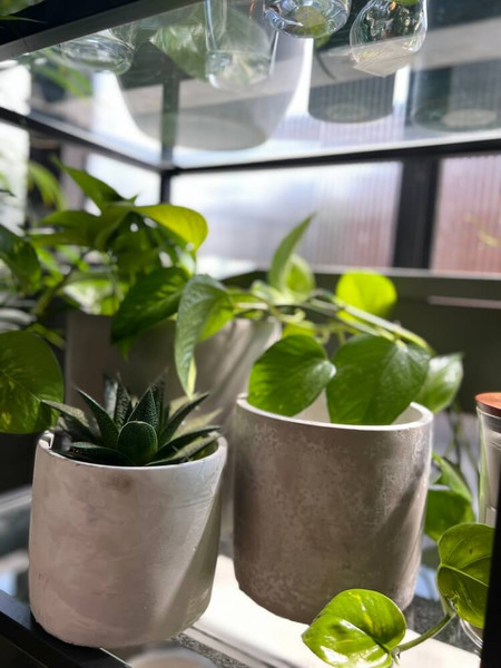 Изображение товара Кашпо Polnix 05.148.16