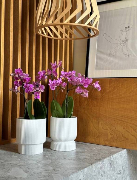 Изображение товара Кашпо Polnix 03.105.13